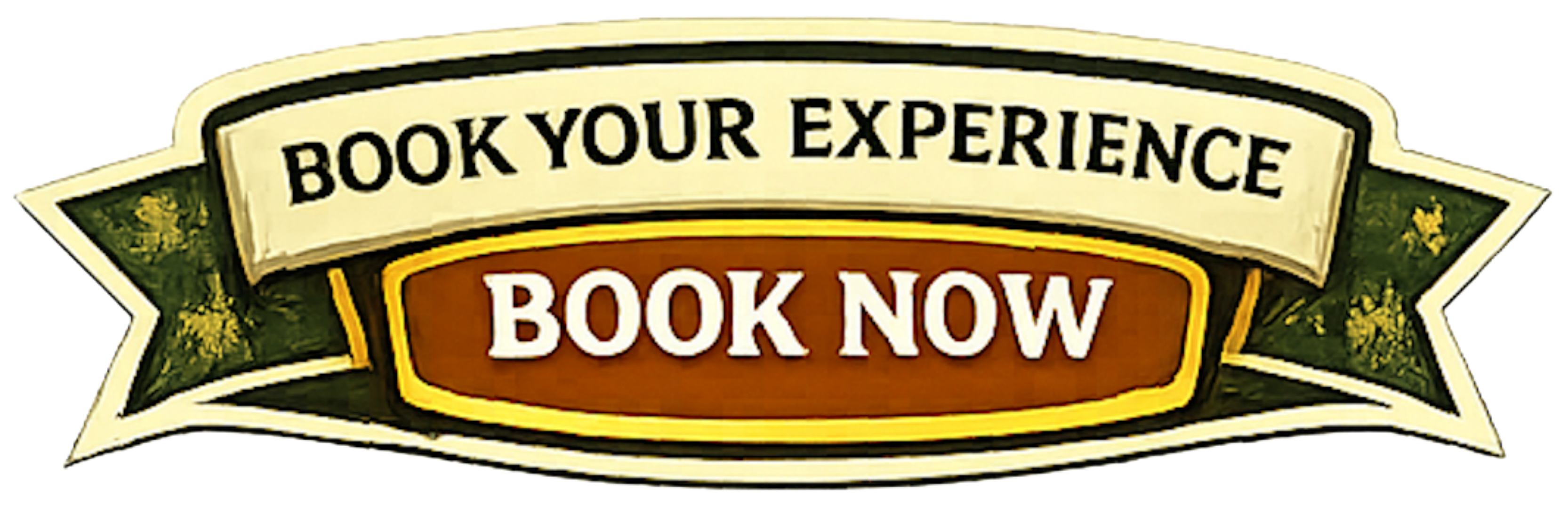 Book Your Experience, Book Now