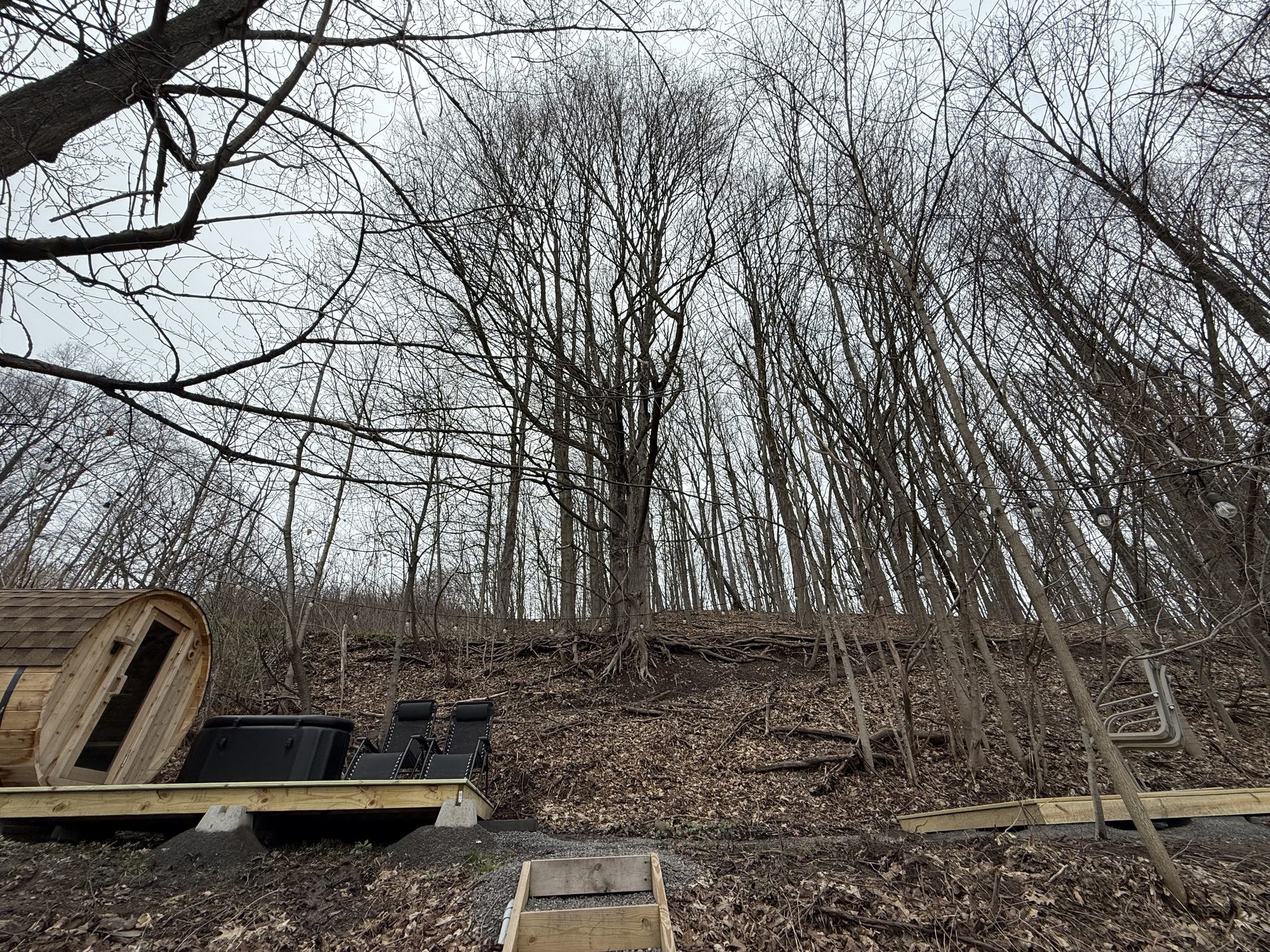 Interior bench detail